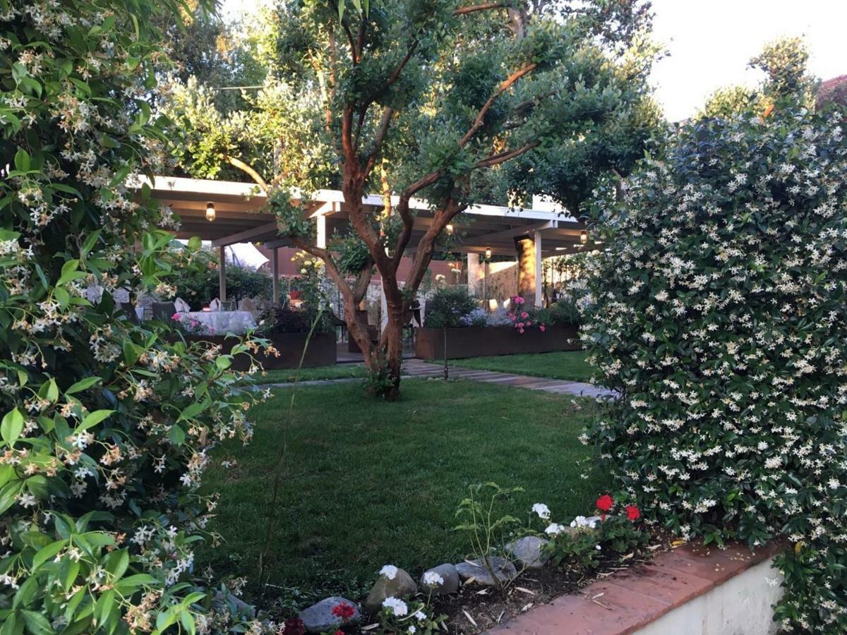 Locanda Del Pesce Briaco, B&B Lucca Exteriér fotografie